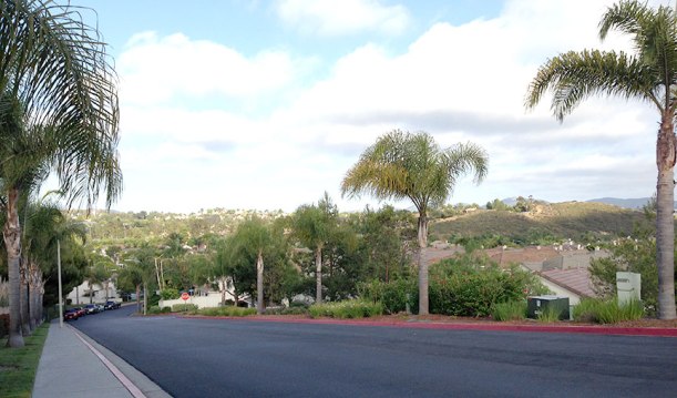 neighborhood